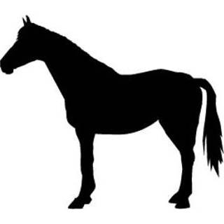 👉 Sjabloon male 't Stilleven paard 8714118193005