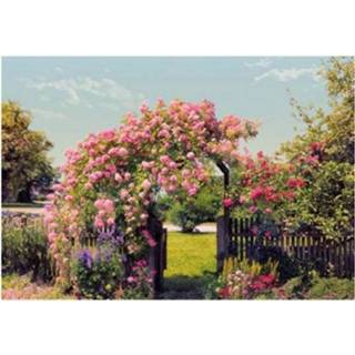 👉 Fotobehang rose garden 4036834089368