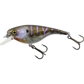 👉 Bruin baby's Westin BabyBite SR Crankbait - Floating Crazy Bluegill 6.5cm 12g 5707549455760