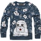 👉 Gebreide trui blauw vrouwen Mouw Longsleeve Harry Potter - Hedwig 3664794157998