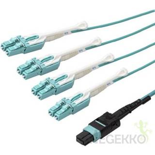 👉 Glasvezelkabel StarTech.com MPO8LCPL3M Glasvezel kabel 3 m OM3 MPO/MTP 8x LC Aqua