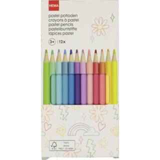 HEMA Kleurpotloden Pastel - 12 Stuks