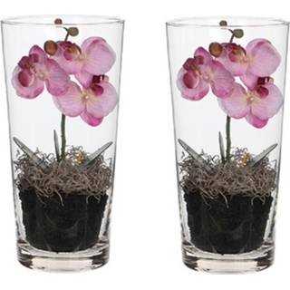 👉 Orchidee roze kunststof Set van 2 Orchidee/Phalaenopsis kunstplanten 30 cm in vaas voor binnen - Kunstplanten/nepplanten/binnenplanten 8720147734256
