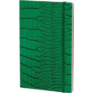 👉 Notitieboek groen papier Stifflex Mrs. Crocodile 21 x 13 cm 8022697008765