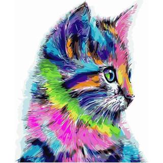 👉 Multikleur Schilderen op Nummer - Kitten 40 x 50 cm 8719748394815