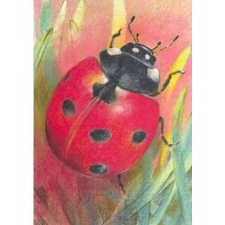 👉 Ansichtkaart klein insectenboek 2 - Loes Botman (Set van 5) 8719244000524