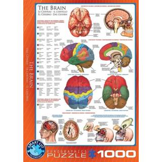 👉 Puzzel The Brain (1000 stukjes) 628136602563