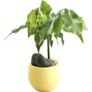 👉 Plastic plant wit Mini Kleurrijke Ronde Bloempotten Home Office Decor Planter Decoratieve Ambachten in de slaapkamer, woonkamer - 8719897635623