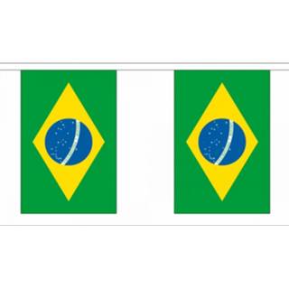 👉 Vlaggenlijn polyester multikleur Luxe Brazilie 9 M 8718758347538