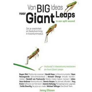 👉 Van Big Ideas Naar Giant Leaps. In Een Split 9789492107138