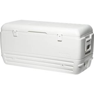 👉 Koelbox wit Igloo Quick & Cool 150 Passief 142 Liter 34223443634