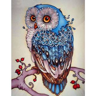 👉 Diamond Painting - Uil 25 X 30 Cm 8719748172833