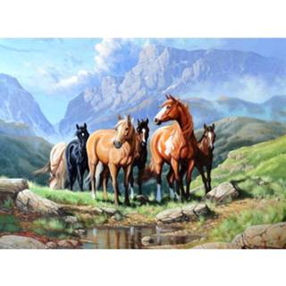👉 Diamond Painting - Paarden 30 X 40 Cm 8719748172987