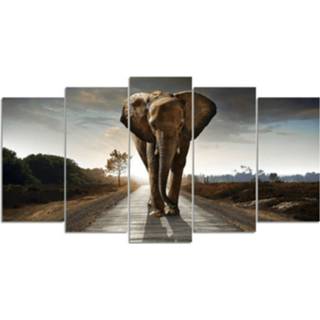 👉 Diamond Painting Pakket Safari Olifant - 5 Luik Volledig Full Seos Shop ® 7435127089073