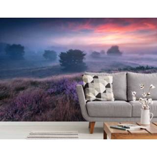 👉 Fotobehang Vlies Heide