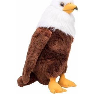 👉 Knuffel pluche multikleur Amerikaanse Zeearend 30 Cm - Roofvogels Knuffels 8718758485568