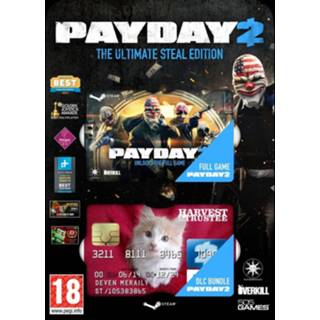 👉 Payday 2 (Download Code) 8023171034874