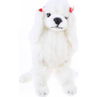 👉 Wit Bicolini Knuffelhond Poedel 30 Cm 8718807763838