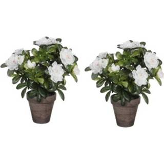 👉 Kunstplant groene witte grijs kunststof groen 2x Azalea Bloemen 27 Cm In Pot Stan Grey - Kunstplanten/nepplanten 8720147410679
