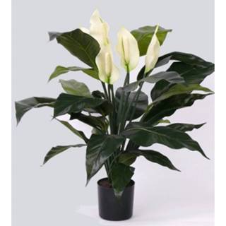 👉 Spathiphyllum kunststof groen Kunst 75 Cm 8718758636717