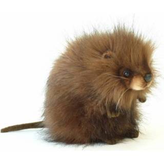 👉 Muskusrat knuffel 22 Cm, Hansa 4806021952016