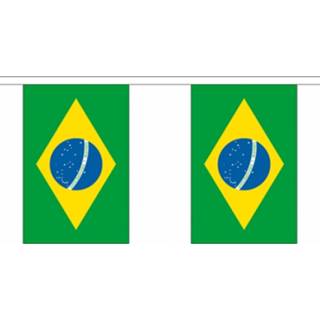 👉 Vlaggenlijn polyester multikleur 3x Buiten Brazilie 3 Meter - Braziliaanse Vlag Supporter Feestartikelen Landen Decoratie En Versieringen 8720147782899