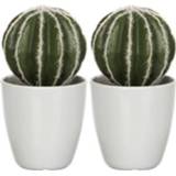 👉 Kunstplant groene witte plastic kunststof x groen 2 Echinocactussen/bolcactussen Kunstplanten 28 Cm In Pot - Kunstplanten/nepplanten 8719538957121