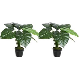 👉 Kunstplant groene zwarte kunststof groen 2x Colocasia/taro Kunstplanten 52 Cm In Pot - Kunstplanten/nepplanten Kantoorplanten 8720147325782