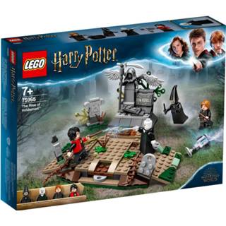 👉 Lego LEGO® HARRY POTTER™ 75965 De opkomst van Voldemort 5702016604139