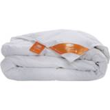 👉 Donzen dekbed wit Silvana Royale Colortemp Koel - Lits-jumeaux (240x200 Cm) Volwassen 8720088586624
