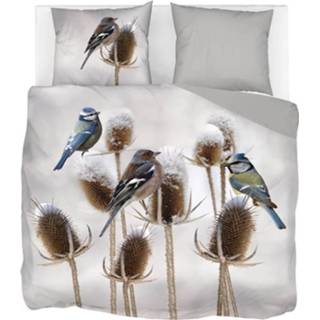 👉 Dekbedovertrek grijs flanel Snoozing Bluebird - Lits-jumeaux (260x200/220 Cm + 2 Slopen) 8719151086123