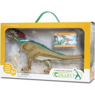 👉 Groen kunststof Collecta Prehistorie: Tyrannosaurus Rex Deluxe Window Box 27 Cm 4892900840482