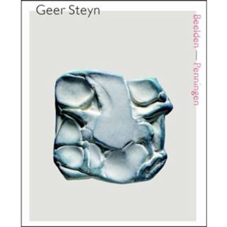 👉 Penning Geer Steyn: Beelden - Penningen 9789462620674