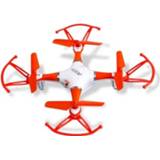 👉 Quadcopter wit oranje kunststof Ninco Air Orbit 13 X Cm Wit/oranje 8428064901231
