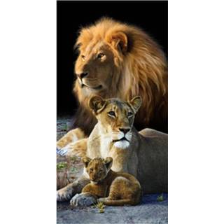 👉 Strandlaken katoen velours multikleur The Beachtowel Lion Family - 100% 75x150 Cm Multi 8719151081869