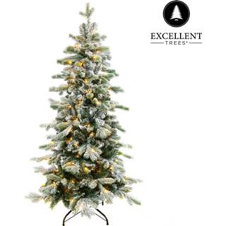 👉 Kerstboom Excellent Trees® Led Varberg Green 210 Cm - Luxe Uitvoering - 300 Lampjes