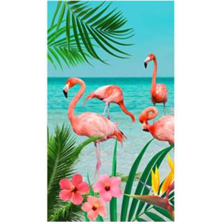 👉 Strandlaken polyester velours multikleur Good Morning Flamingo - 100% 100x180 Cm Multi 8717285169835