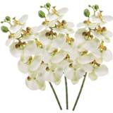 👉 Kunstbloem witte kunststof wit 3x Phaleanopsis/vlinderorchidee Kunstbloemen 70 Cm - Boeketten 8719538951785