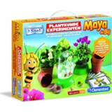 👉 Multikleur Clementoni Experimenteerset Maya De Bij Plantkunde 8005125664160