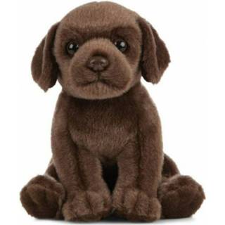 👉 Knuffel bruine pluche polyester bruin kinderen Labrador Hond 16 Cm - Honden Huisdieren Knuffels Speelgoed Voor 8720147744149