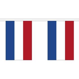 👉 Vlaggenlijn Nederland polyester multikleur 3x Buiten 3 Meter - Nederlandse Vlag Supporter Feestartikelen Landen Decoratie En Versieringen 8720147773538