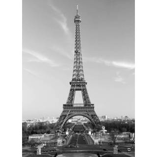 👉 - La Tour Eiffel 183 X 254 Cm Multi 7611487064725