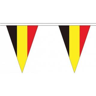 👉 Slinger kunststof multikleur Belgie Landen Punt Vlaggetjes 20 Meter - / Vlaggenlijn 8719538740334