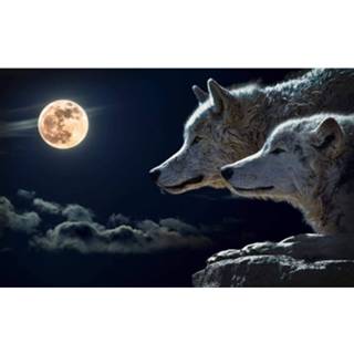 👉 Diamond Painting Pakket Wolven In De Nacht - Volledig Full 50x30 Cm Seos Shop ® 7426870706102