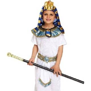 👉 Farao kostuum stof multikleur kinderen jongens 4-delig Stoer Bestaande Uit: Een 5026619378021