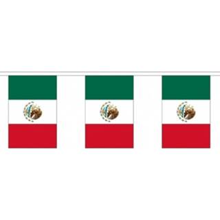 👉 Vlaggenlijn polyester multikleur 3x Buiten Mexico 3 Meter - Mexicaanse Vlag Supporter Feestartikelen Landen Decoratie En Versieringen 8720147788495