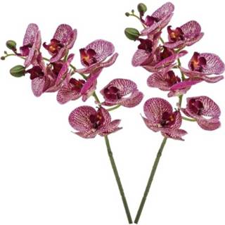 👉 Kunstbloem magenta roze kunststof 2x Fuchsia Phaleanopsis/vlinderorchidee Kunstbloemen 70 Cm - Boeketten 8719538951938