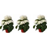 👉 Wit 3x stuks Kunstplanetn Hortensia 36 cm