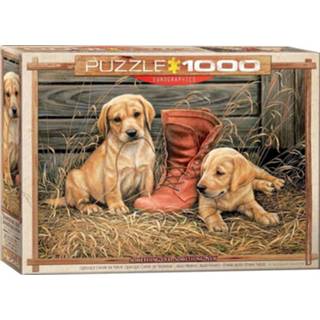 👉 Puzzel Something Old New (1000 stukjes) 628136607957