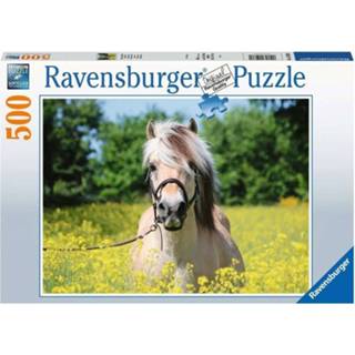 👉 Puzzel Ravensburger Paard tussen de bloemen 4005556150380